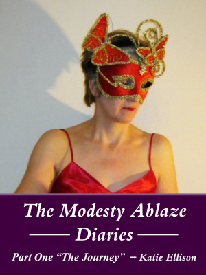 The Modesty Ablaze Diaries The Journey